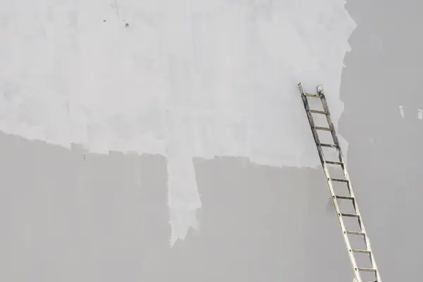 Exterior painting in Tallahassee: ladder against a freshly primed wall